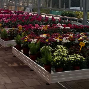 Palettes fixes ligne GARDEN