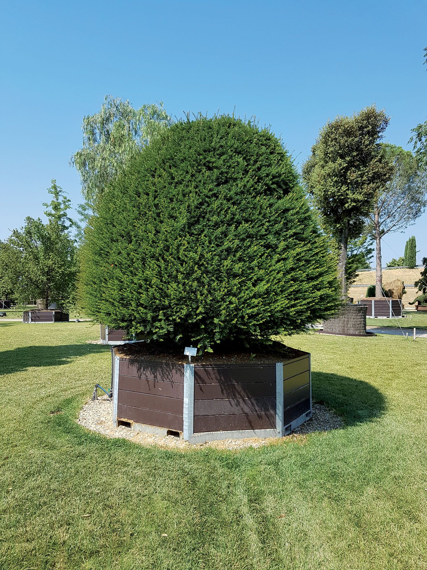 Iron Pot esagonale